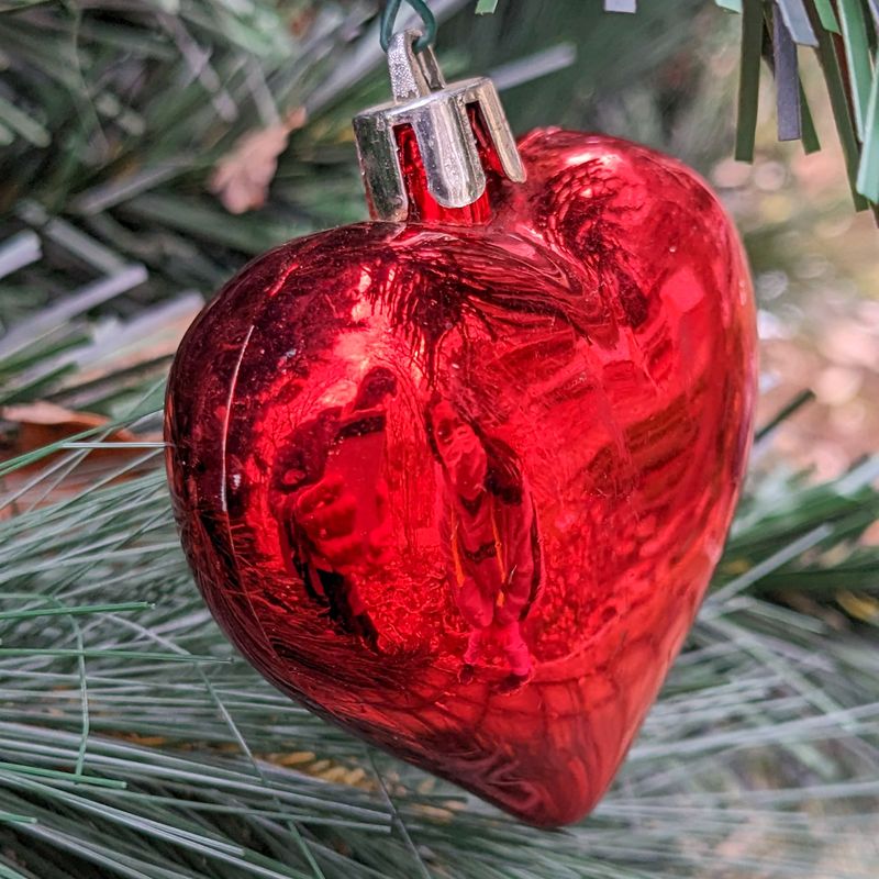 A day for Mariah Carey's "All I want for Christmas" photo