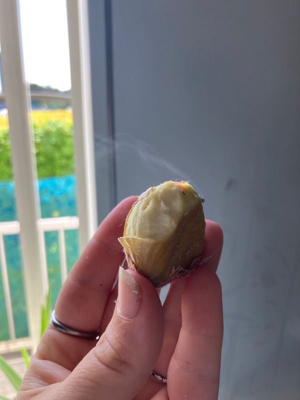 How to prepare chestnuts photo