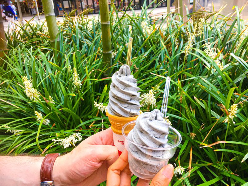 Summer Food in Japan: Sesame Ice Cream photo