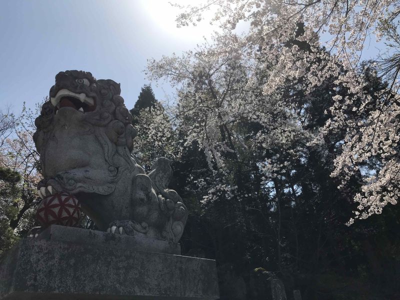 Spring break survey finds 70% of Japan-fams are planning outings photo