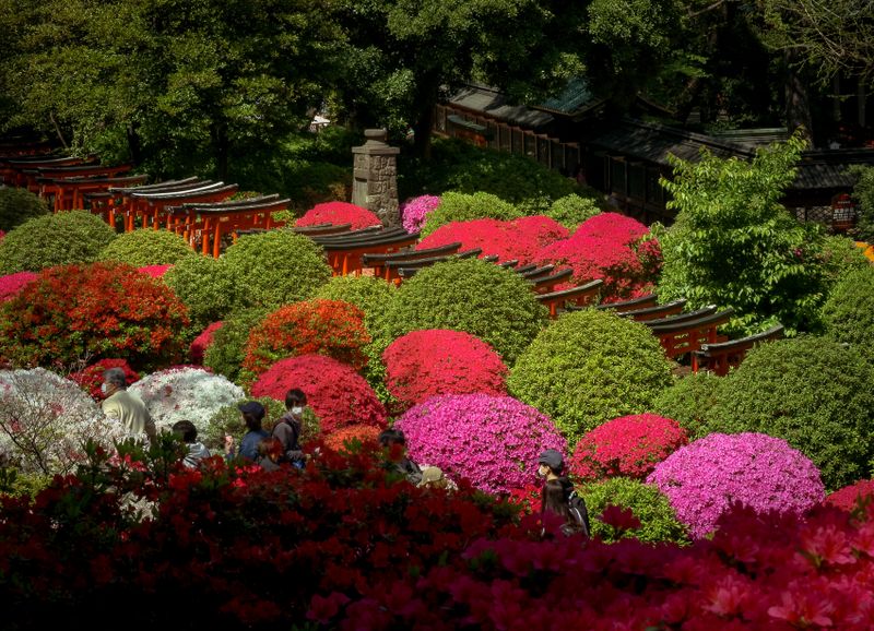 Images of Japan: April 2023 photo