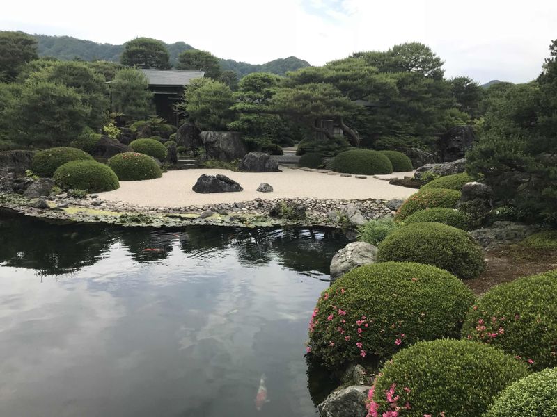 Things I didn't do early on: Going gaga for gardens photo