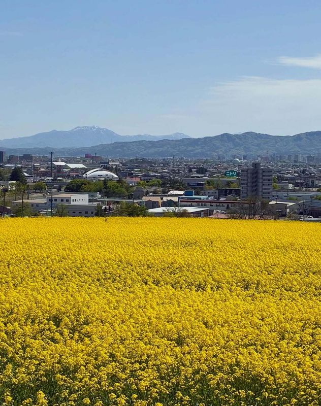 Always the bridesmaid and never the bride photo