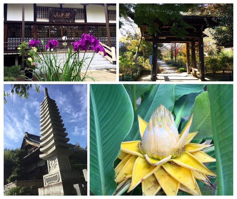 Chiba Prefecture Charms - Temples photo