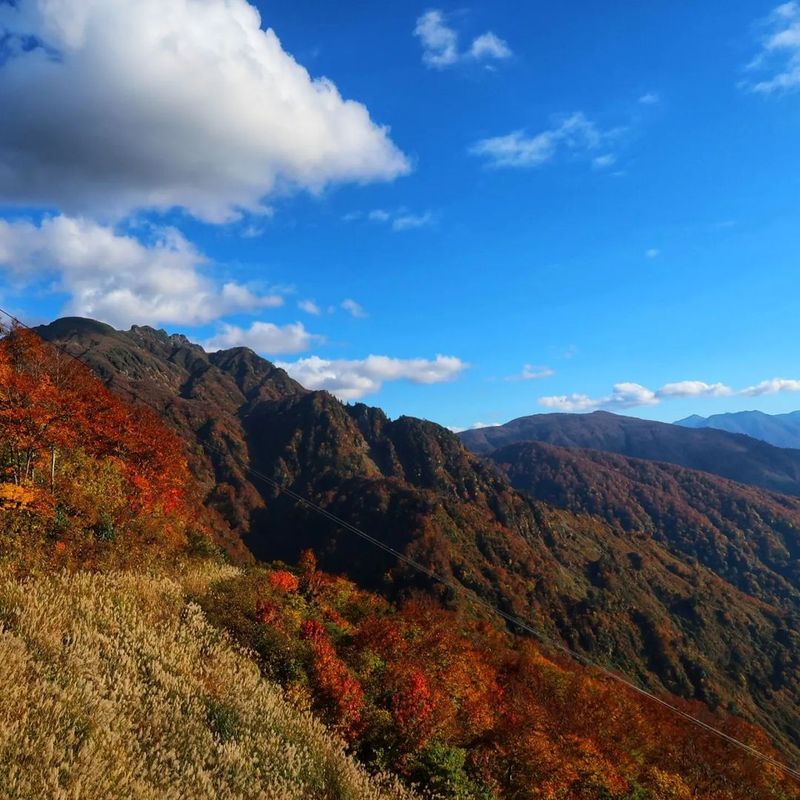 An autumn trip up Hakkaisan Ropeway [SPOT REPORT] photo