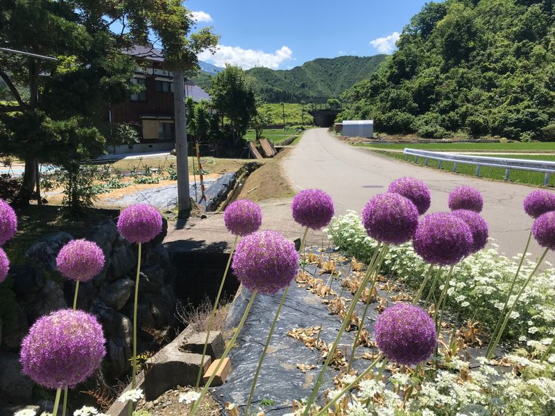 Walkability in Japan photo