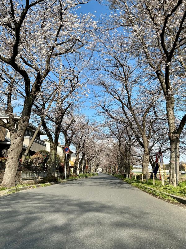 Unga Mizube Park lucky timing SPOT REPORT photo