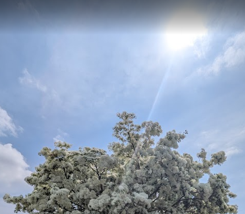 A day to aim for zero (sun) spots photo