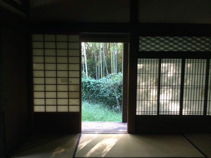 Beating the Heat in an Idyllic Saitama Landscape photo