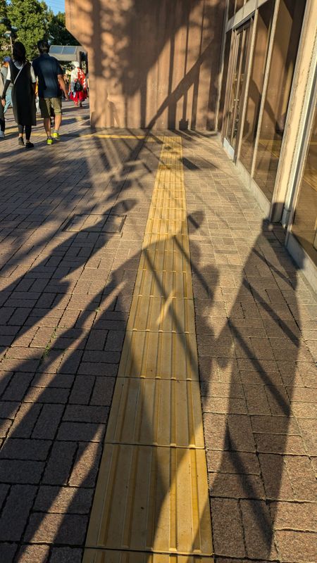 A Japanese invention that guides the world photo