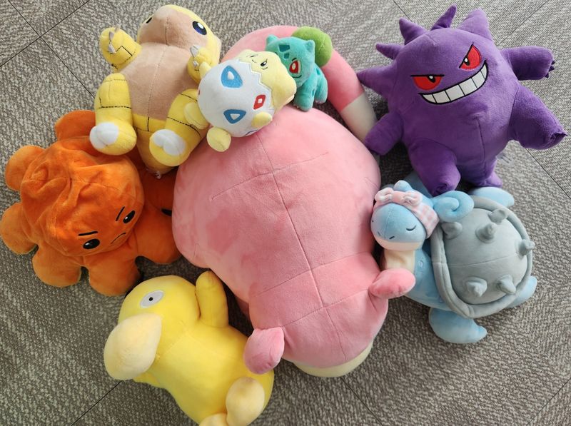 Keeping plushies clean in Japan photo