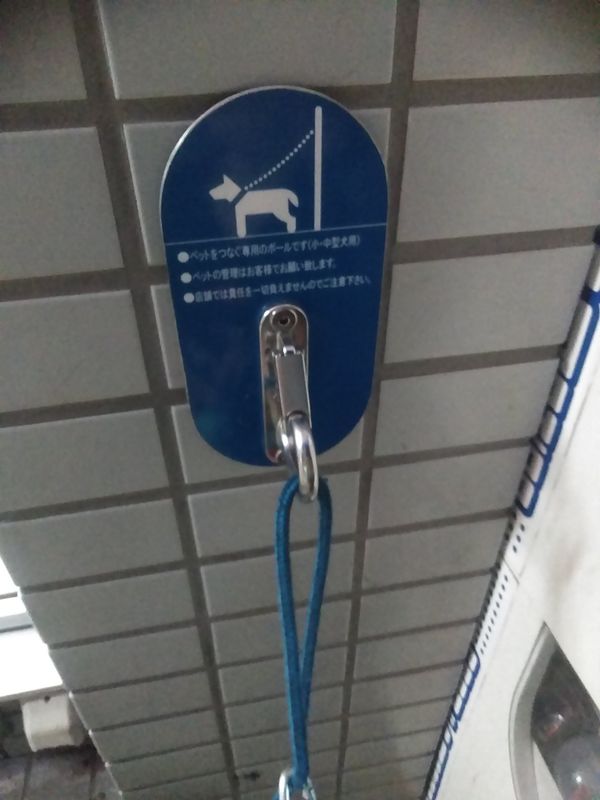 Dog leash hook photo