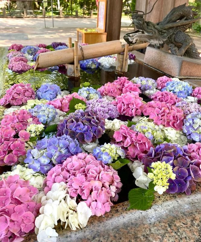 What marks summer's arrival for you? photo