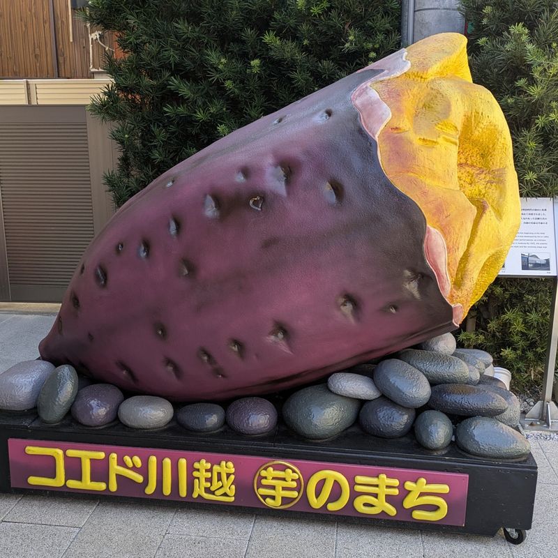 Sweet Potato Day; An anniversary from my city photo
