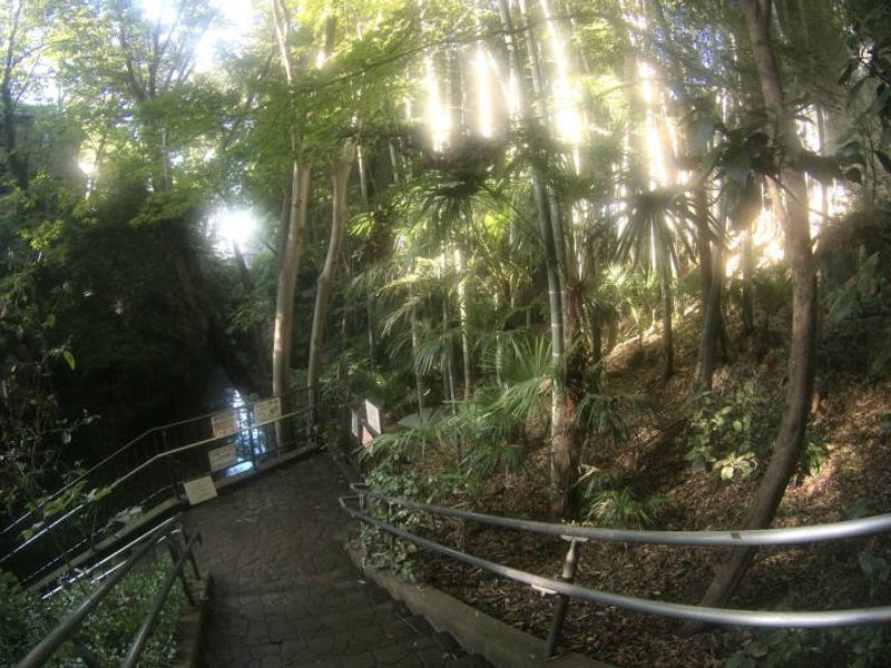 Todoroki Valley - An Escape from the Hustle and Bustle of Tokyo photo