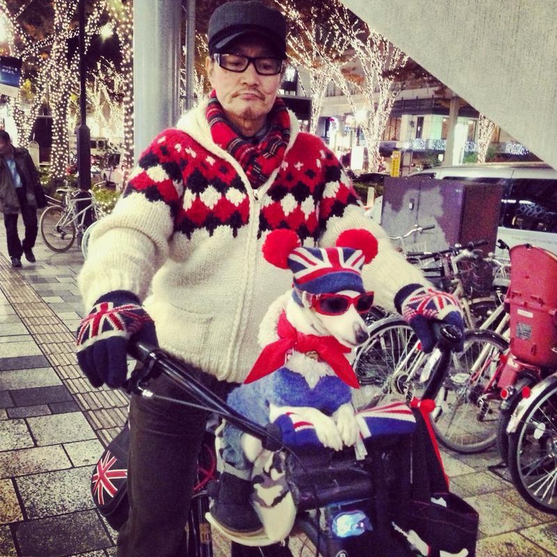 Only in Japan moments: pets that are like children photo