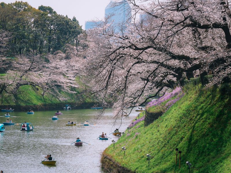 Images of Japan: March 2023 photo