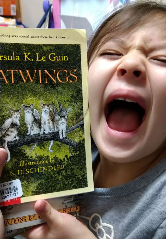 Improve Your Home Library (Without Leaving Your Home) photo