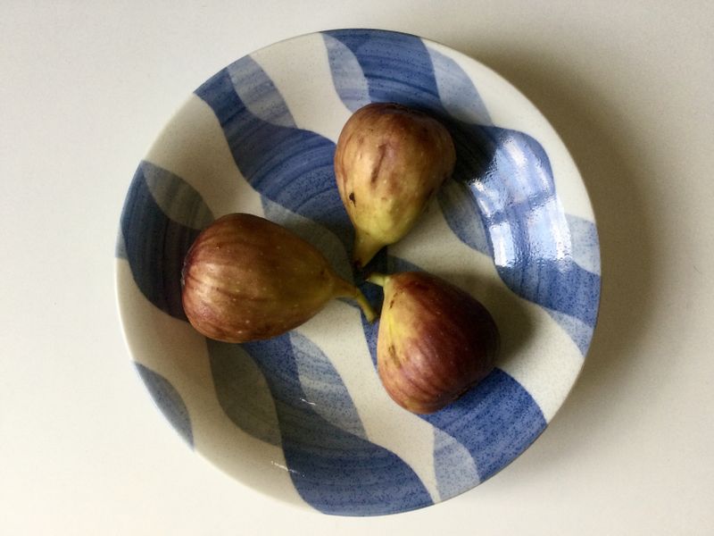 TtoE late summer fig bounty photo