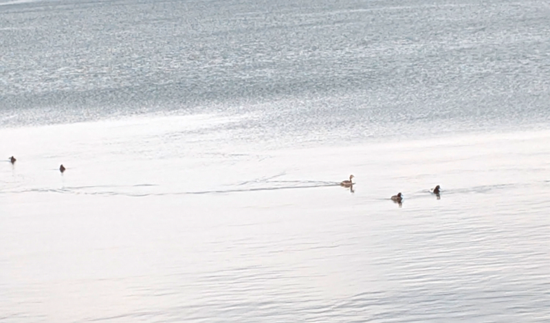 Yet Another Job Conundrum photo