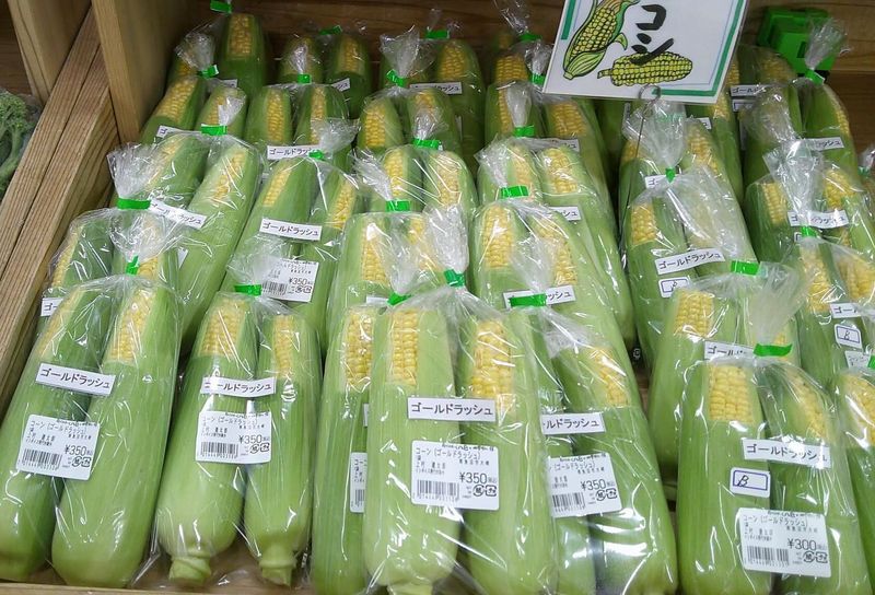 Continuous price rises changing the way people shop in Japan photo