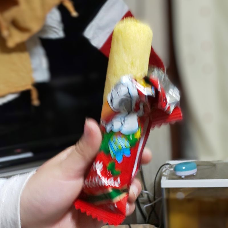 A day for umaibo photo