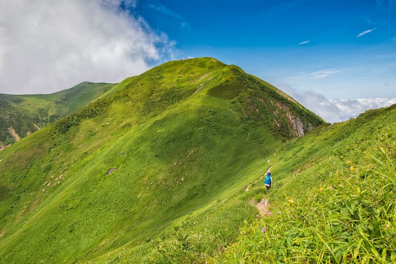 Most livable cities in Japan named in annual ranking photo