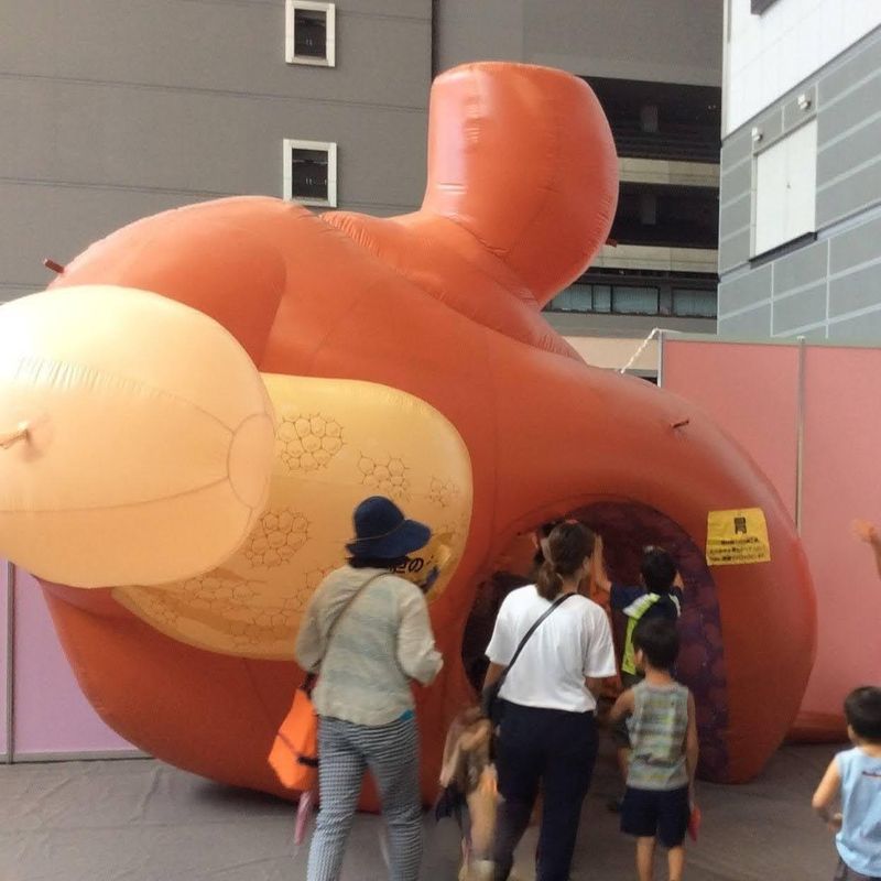 Good bacteria balance day photo