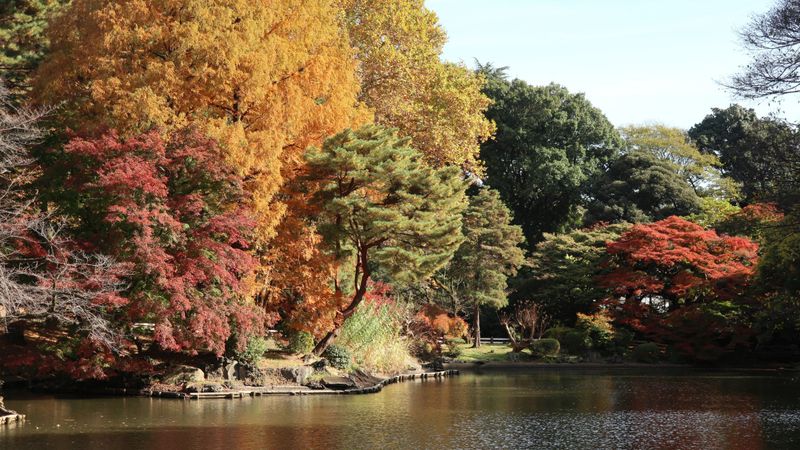 Autumn at one of the top spots in Tokyo – Shinjuku Gyoen [SPOT REPORT] photo
