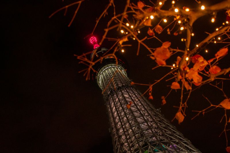 Images of Japan: December 2022 photo
