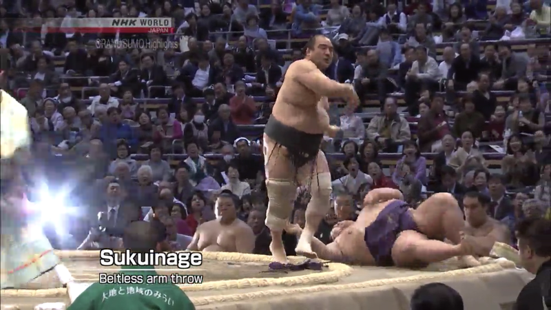 A Sumo Underdog Worth Watching photo