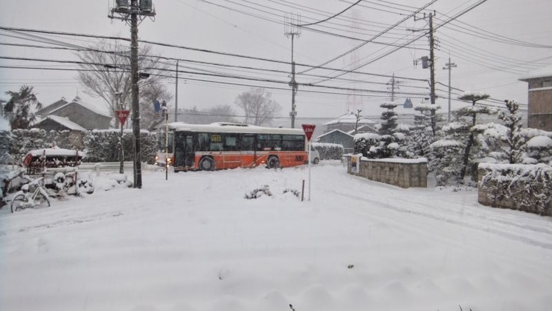 A couple of feet of snow do little to disrupt daily life in rural Japan photo