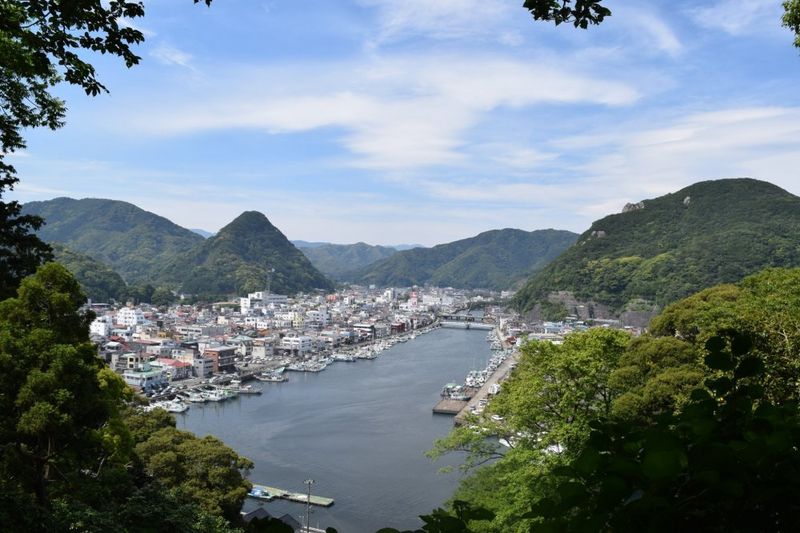 Does disaster risk shape where you choose to live in Japan? photo