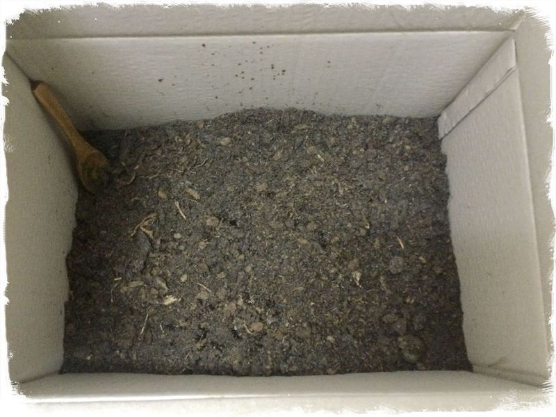 how-to-compost-in-a-cardboard-box-indoors-city-cost