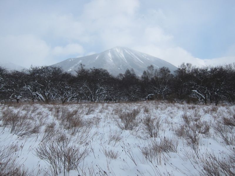 Snowland Nikko photo