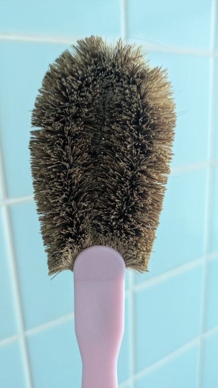 There is even a day for scourers in Japan! photo