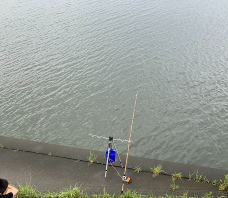 The fish you need a license to touch photo