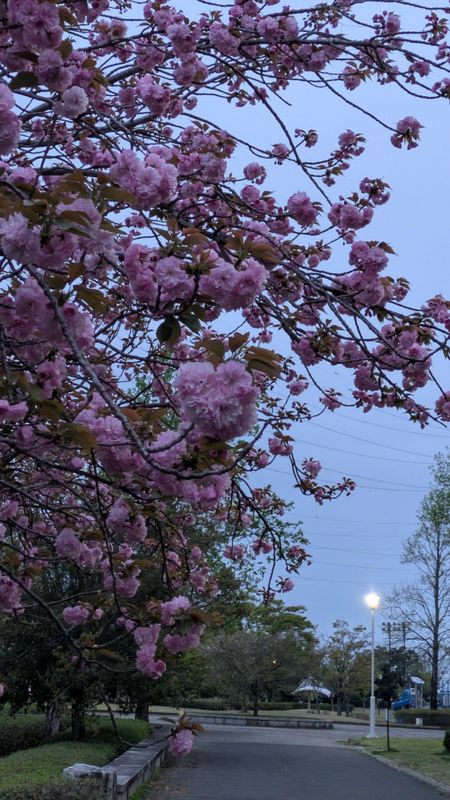 Reflecting on photo day photo