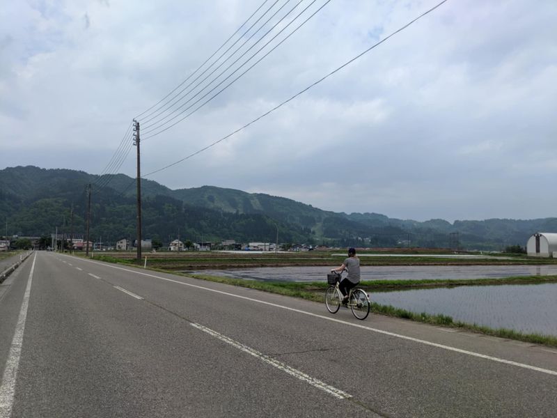 A reminder that new cycling rules start tomorrow (April 1st) photo