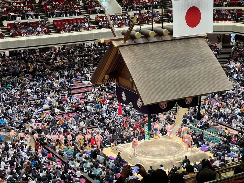 A Sumo Experience; A New Sanctuary photo