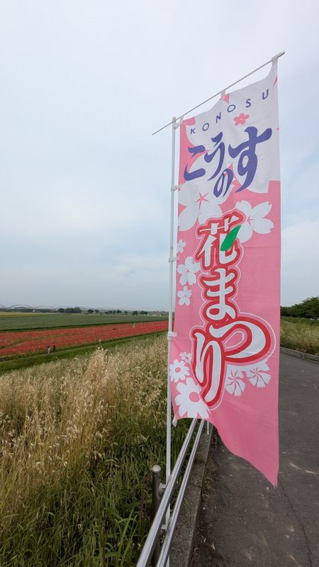 Not a good year for the Konosu Flower Festival photo