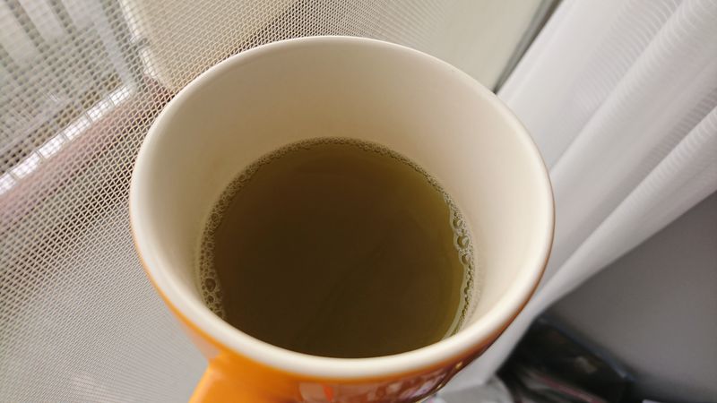 Costco Shizuoka Green Tea photo