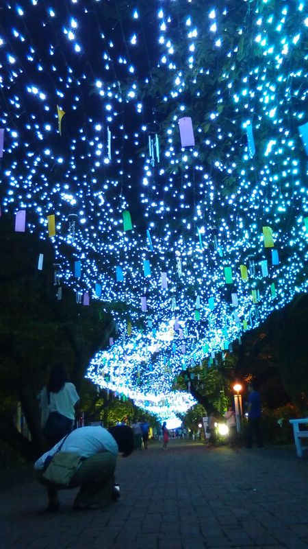 Star Week: A Perfect August Tradition photo