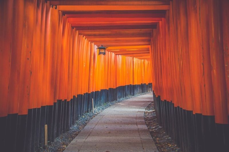 Japan, A Therapy For Those With OCD photo