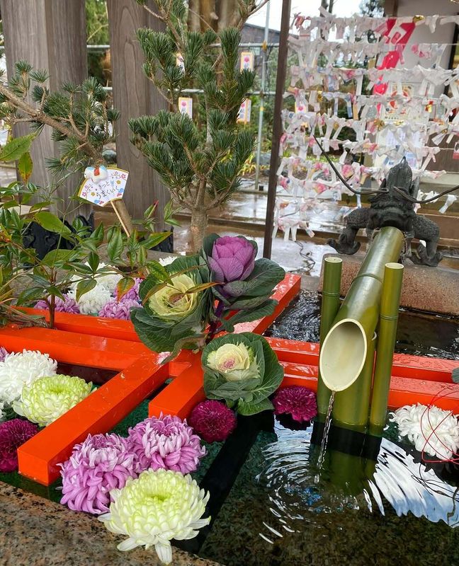 Happy New Year! photo