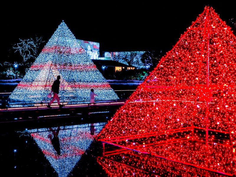 Images of Japan: November 2022 photo
