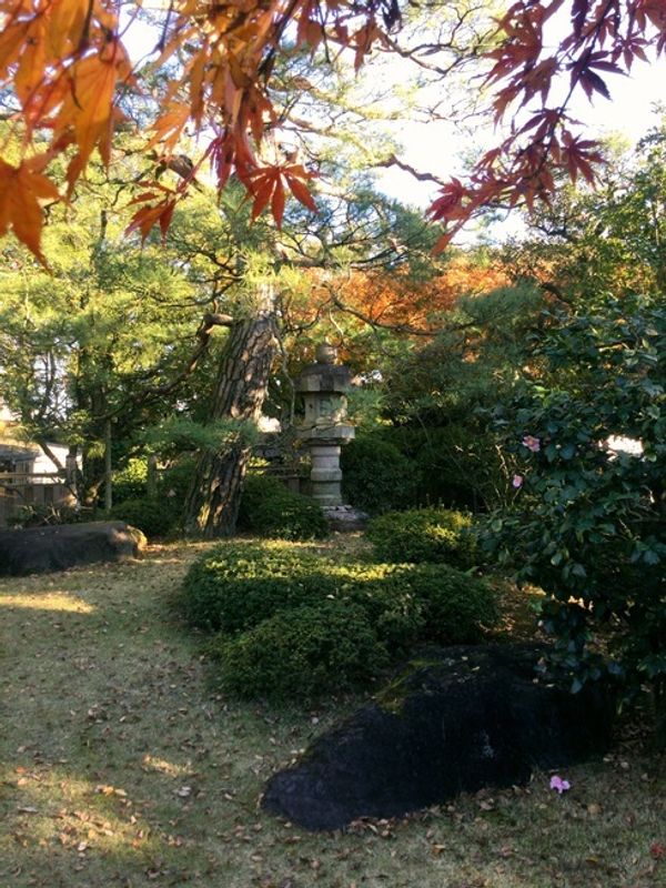 Noda City's secret autumn garden [SPOT REPORT] photo