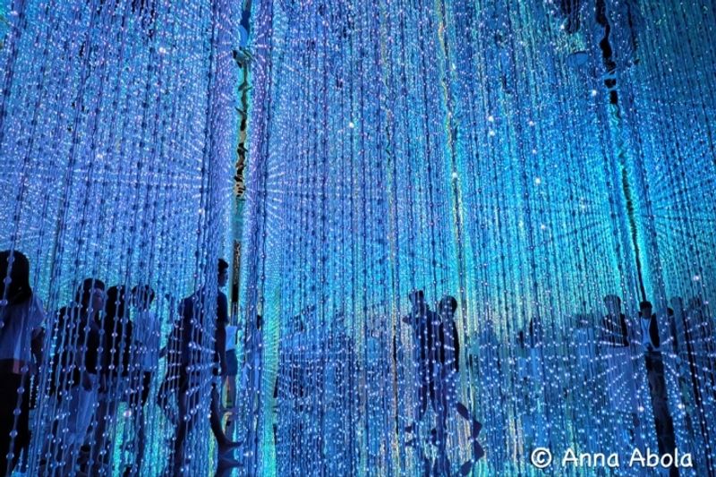 A Digital Art Exhibit that is Out of this World (Summer 2016) photo
