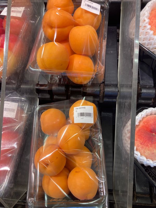 Apricot Time! photo