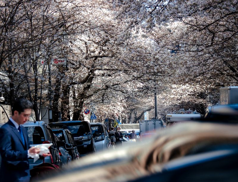 Images of Japan: March 2023 photo